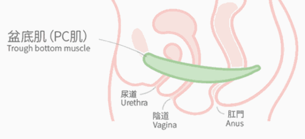 夹与不夹，男生还是能感觉到的！