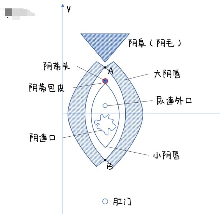 第一次感觉老是对不准怎么办