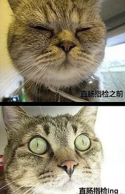 听说前列腺按摩很爽，是真的吗?