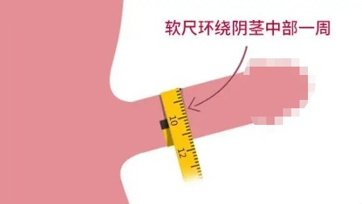 男生那里一般是几指粗