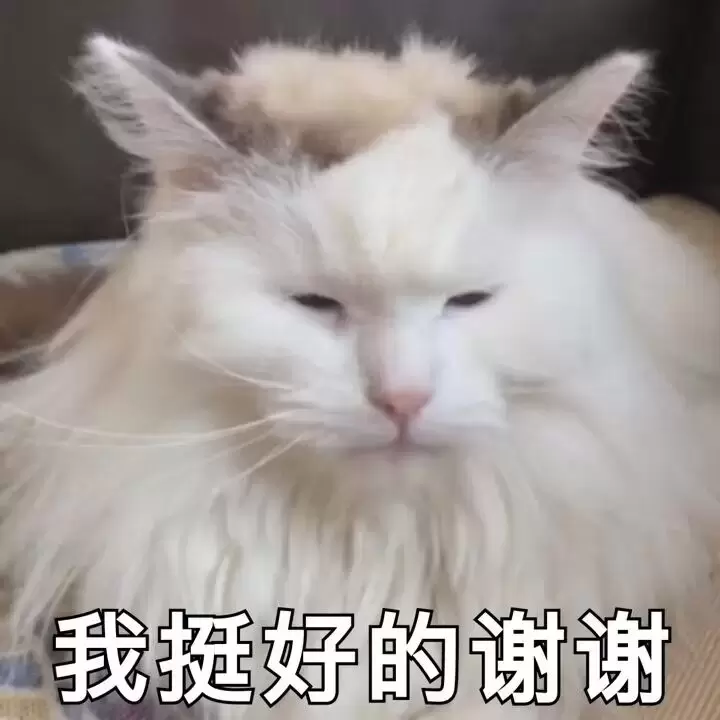 能在酒店用飞机杯吗？出差在外住酒店竟听到这种声音还好我有飞机杯