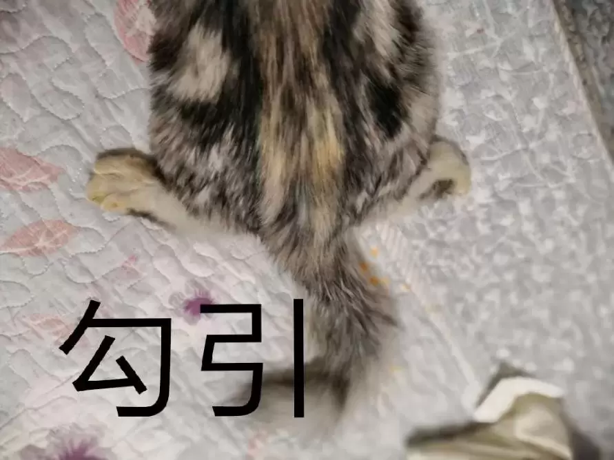 还有人不知道使用飞机杯的快乐嘛？科普一下关于飞机杯的三个方面