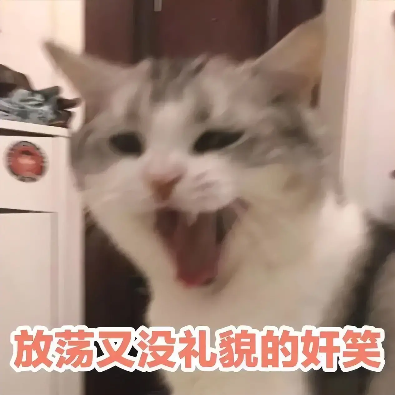 有女朋友后还可以用飞机杯吗？女友身体不方便的时候飞机杯就有用了