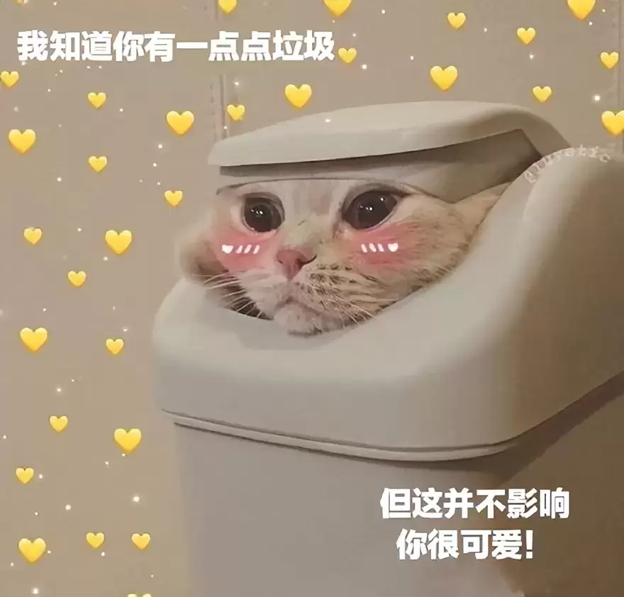飞机杯是一个什么东西？老司机给新手萌新们科普一下飞机杯的知识分享