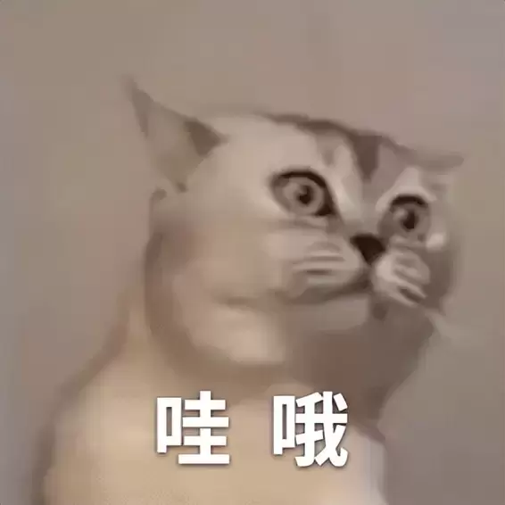 学长有女朋友也买飞机杯吗（有女友后还挑选和购买飞机杯的原因）