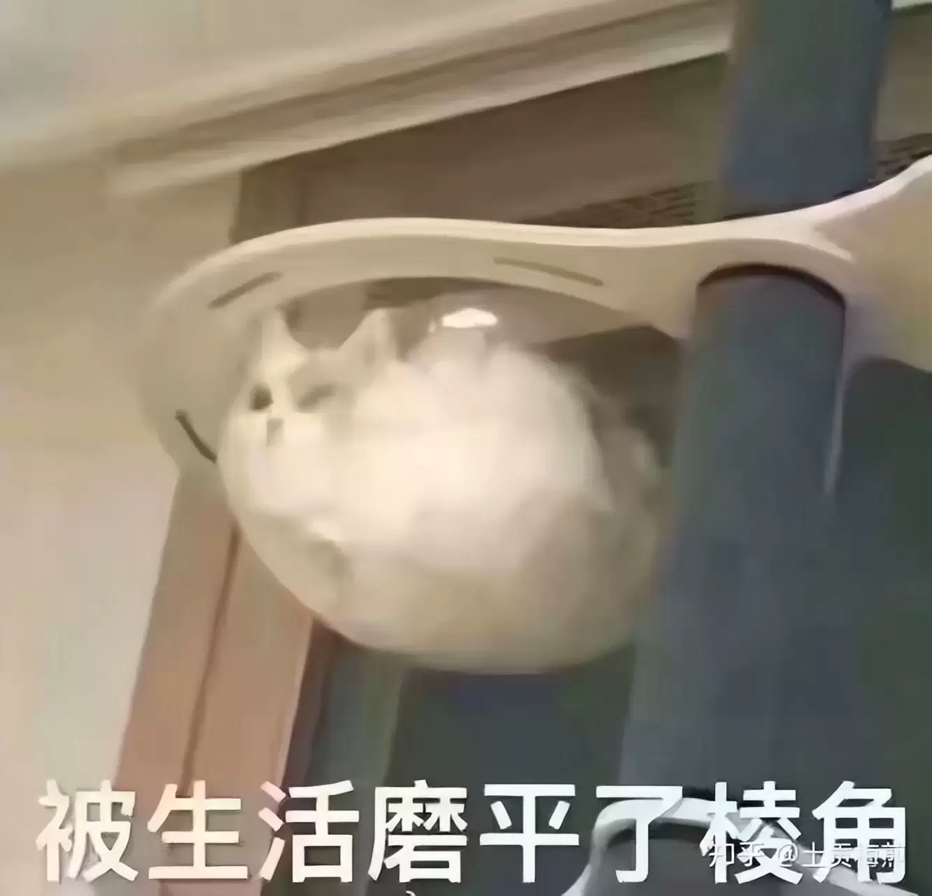 玩飞机杯经常被秒怎么办？分析使用飞机杯经常被秒的原因及科普怎么选杯