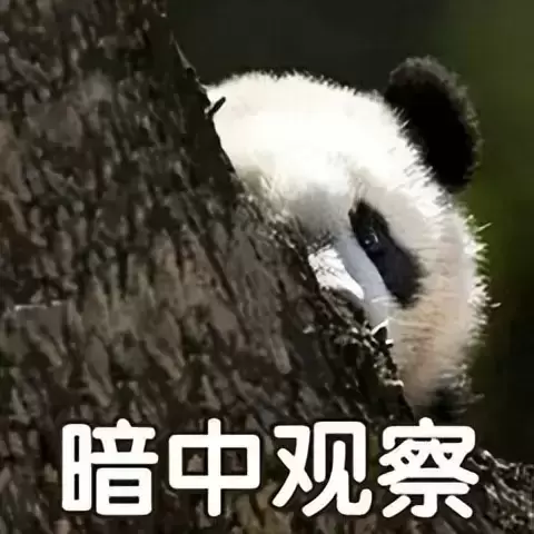 新人不知道如何购买飞机杯？萌新必看科普飞机杯的选购等常见问题