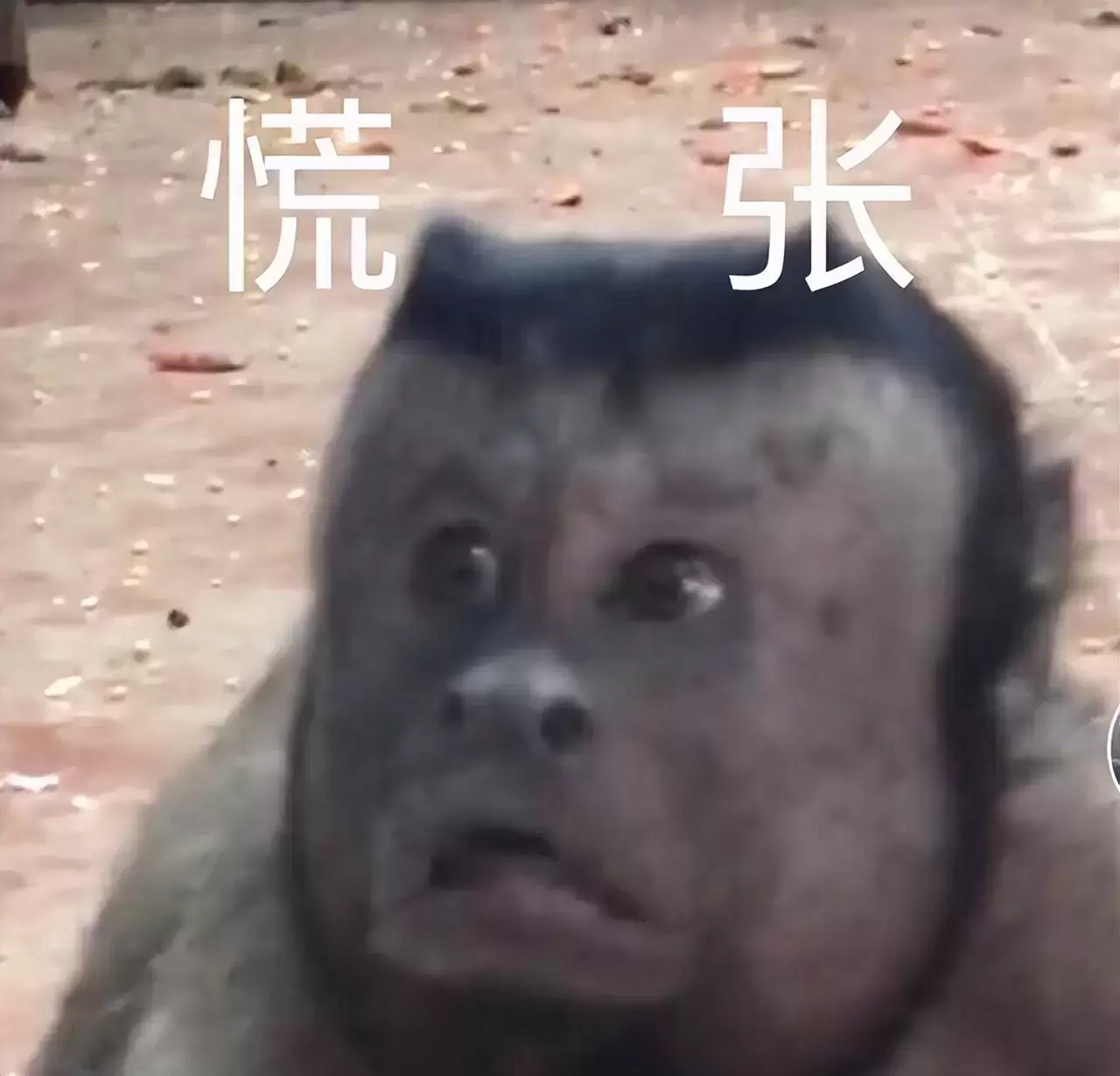 怎么样才算是正确的使用飞机杯（给大家科普一些飞机杯的小知识）