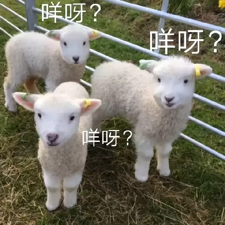 你听说过第一次使用飞机杯吗？分享本人头一次使用飞机杯的羞涩经历