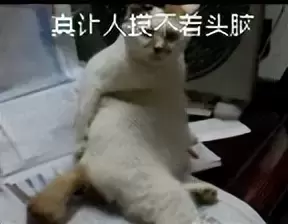 飞机杯的真相是什么？玩杯六年经验老司机带你了解什么是飞机杯