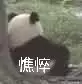 入手飞机杯后你有过哪些尴尬场面（飞机杯的刺激感是diy给不了的）