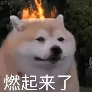 让老司机告诉你什么是飞机杯？给每一位想买飞机杯的小伙伴4点建议