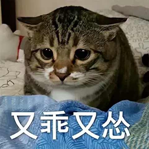 购买飞机杯的新人要注意什么？老司机教大家挑选一款适合自己体质的飞机杯