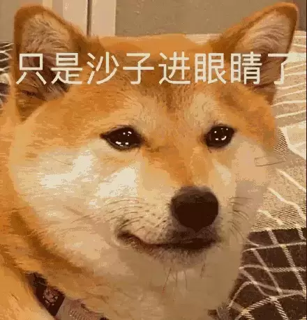 飞机杯这么贵为什么我还要挑选它（学会挑选适合自己的飞机杯）