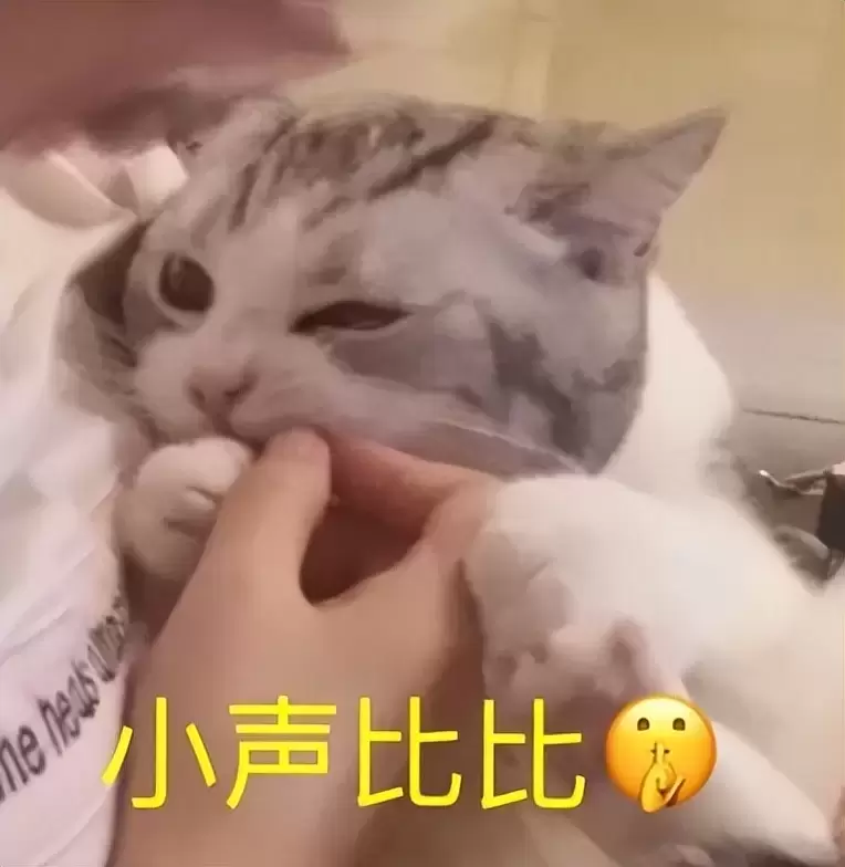 飞机杯跟手比究竟有什么不同？告诉你为什么我会选择使用飞机杯而不是手冲