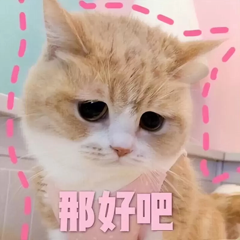 秒男可以用飞机杯锻炼吗？使用飞机杯后从秒男到持久战斗我经历了什么