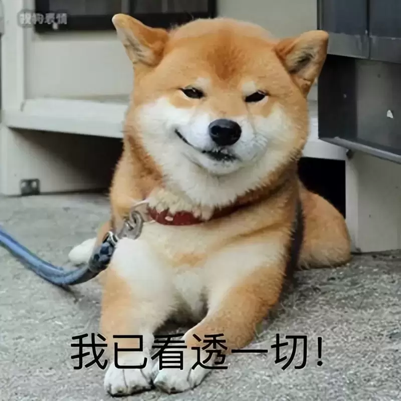 想体验被飞机杯榨干的感觉吗（YUU双子同欢飞机杯姐妹二人不容错过）