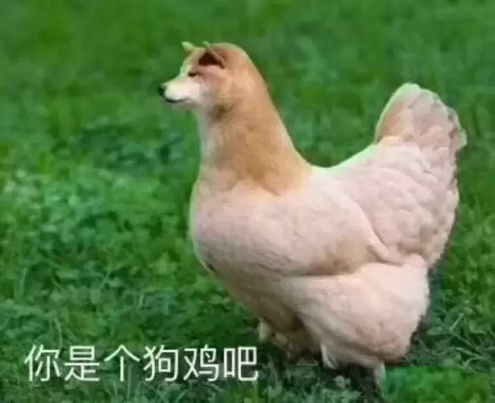 为什么我会对飞机杯那么执着？玩杯已经三年老司机使用感受分享给萌新们