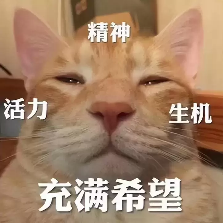 飞机杯现在为什么这么火爆（飞机杯的出现帮助了很多单身男性）