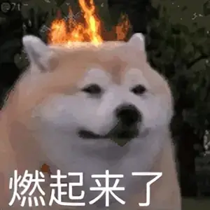 飞机杯长什么样你知道吗？老司机科普什么是飞机杯及想买杯子的新手4点建议