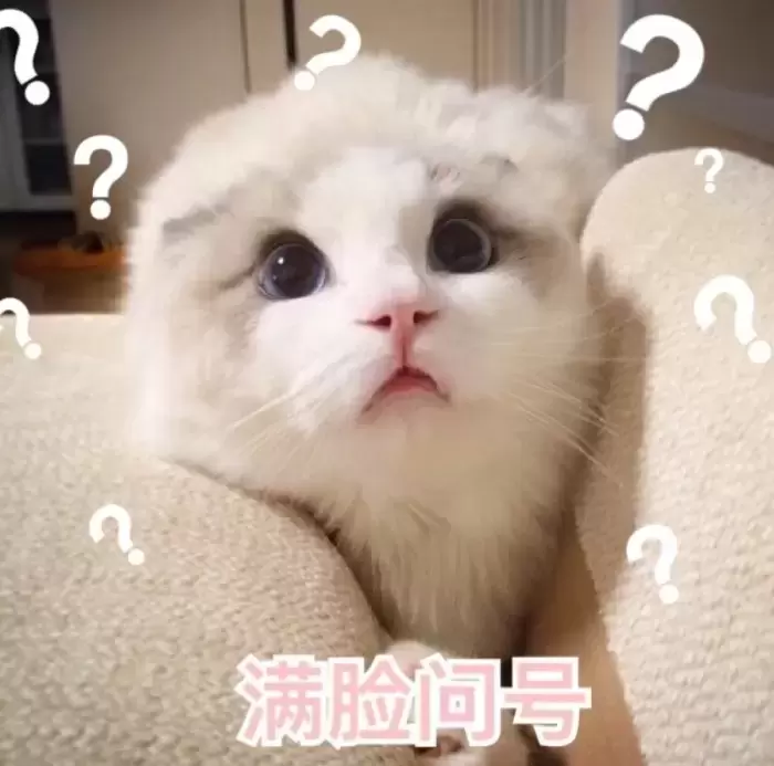 萌新第一次买飞机杯该如何选择（选飞机一看预算二看产品类型）