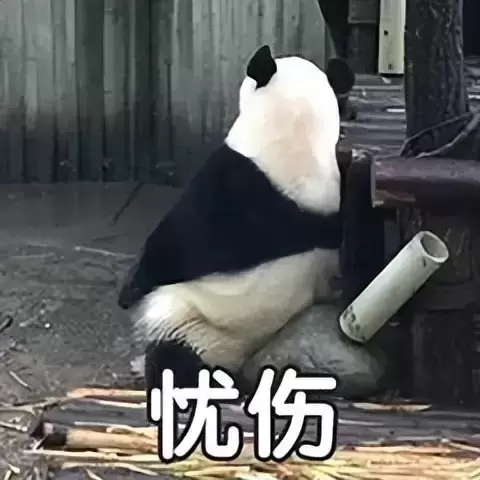 飞机杯陪伴自己是什么样的体验？一位社恐单身多年还是只有飞机杯陪伴