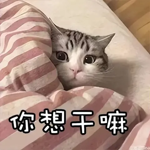 飞机杯真的有那么好用吗？科普解答萌新小白对飞机杯的四个疑问
