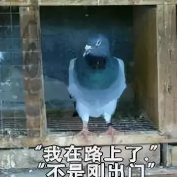 单身佬没人陪对象就是飞机杯？这个七夕让飞机杯陪单身的你