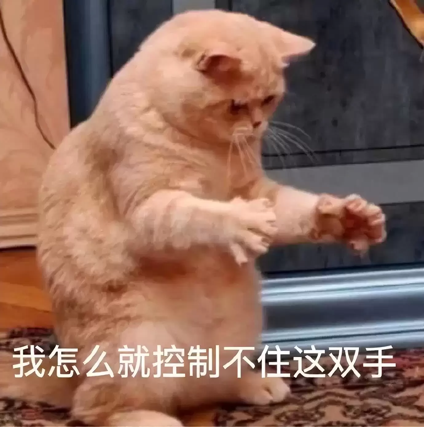 使用五指姑凉危害大不如选择飞机杯？是时候解放双手了让飞机杯带你健康释放