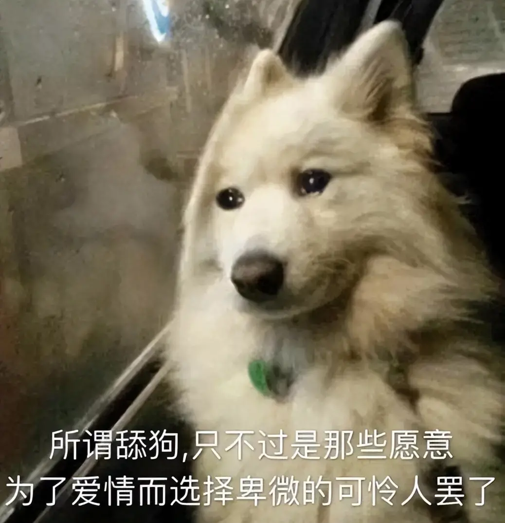 购买飞机杯时需要注意的点有哪些呢？专业老司机告诉你选购飞机杯要点
