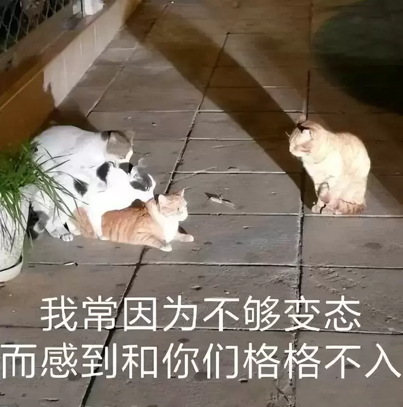你是什么时候用飞机杯解决生理需要的？告诉你们手和飞机杯的区别大了