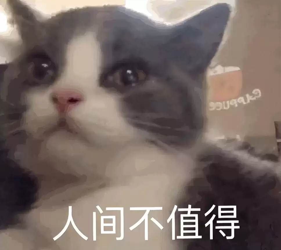 飞机杯中的性价比之王应该是什么样的？YUU双子同欢做到一份价格两种快乐