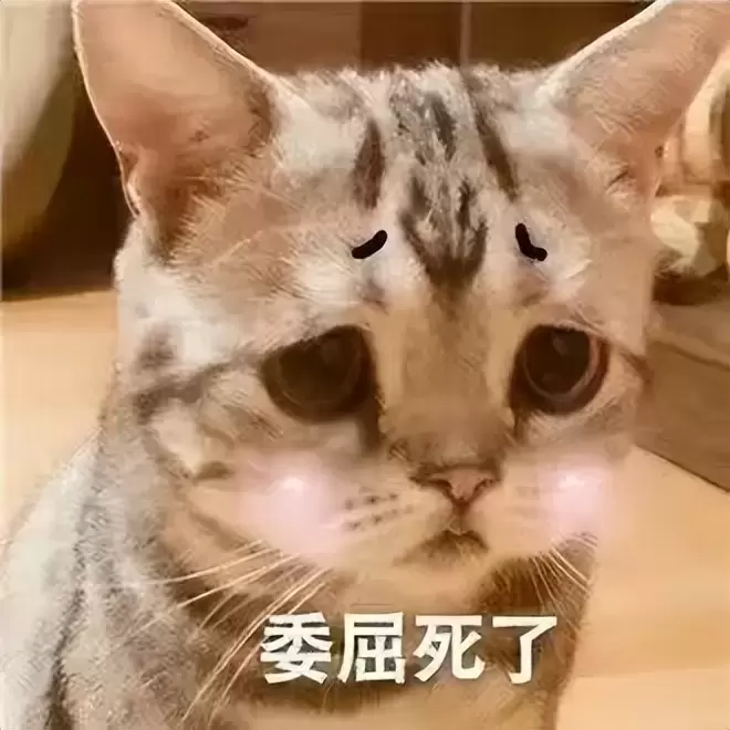 如何使用飞机杯解决生理需求？老司机今日科普让大家更了解飞机杯