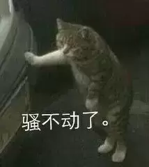 飞机杯哪个好(从4个方面分析飞机杯的好)