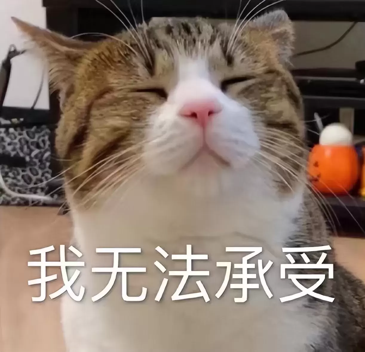为什么要选择飞机杯而不用手？使用飞机杯能够坚持半小时的猛男告诉你