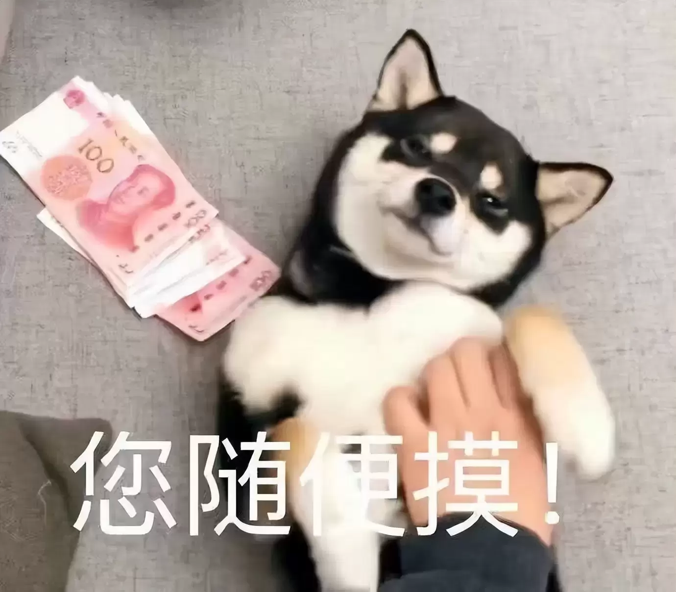 如何选择飞机杯不踩坑？很多人意识到了五指姑凉的危害用飞机杯改善身体