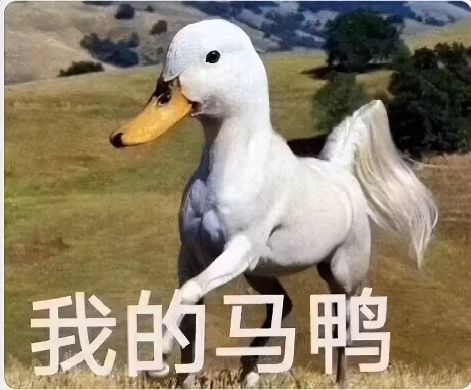 什么是双通道飞机杯？给大家介绍我最新入手的宝藏飞机杯YUU双子同欢