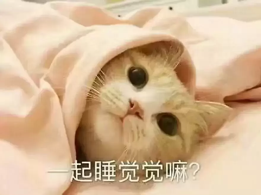 9.9包邮的飞机杯你们也敢买？我想问这么便宜的飞机杯你真的敢用吗
