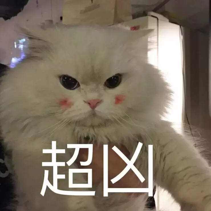 想要入手飞机杯需要注意哪些问题呢？萌新必看科普选择飞机杯的注意事项