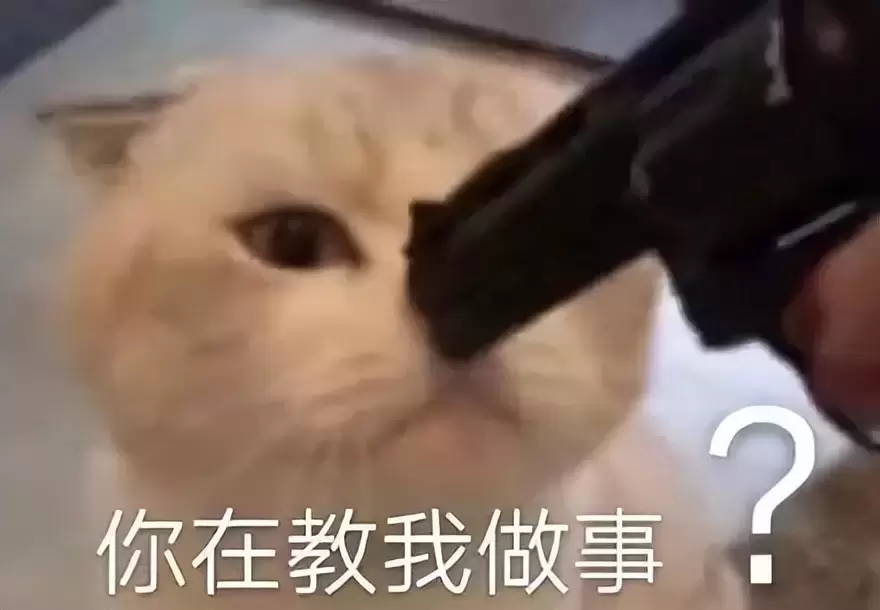 一位女性朋友深夜向我询问飞机杯的秘密（送男朋友的飞机杯推荐）
