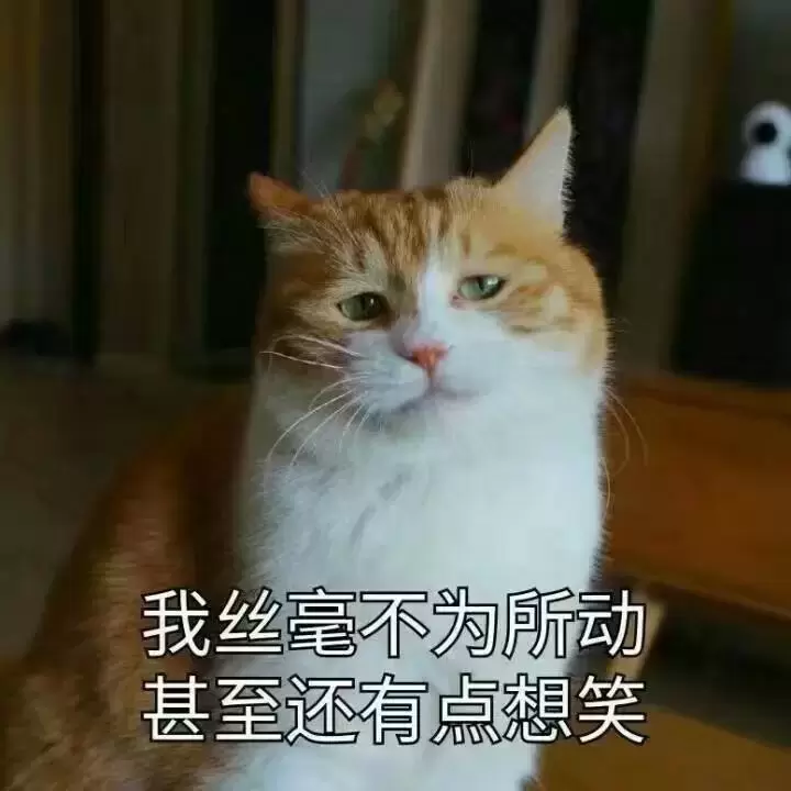 飞机杯和真人实战究竟哪个更爽？使用飞机杯3年的老司机说各有各的好