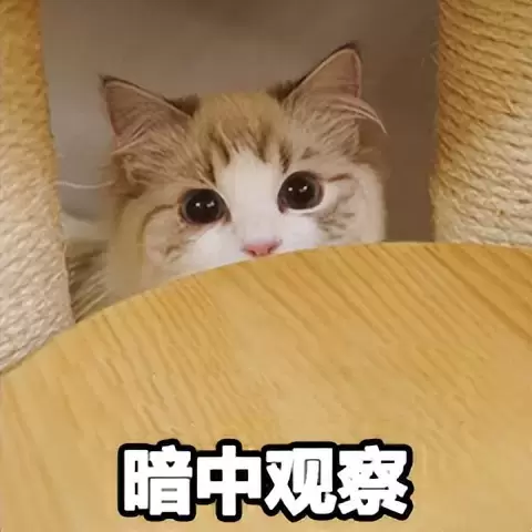 飞机杯该怎么使用呢？老司机教你怎么选择飞机杯会比较适合自己