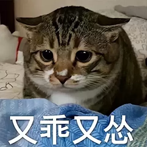 新手必看飞机杯科普（老司机分享使用飞机杯多年才知道的知识）