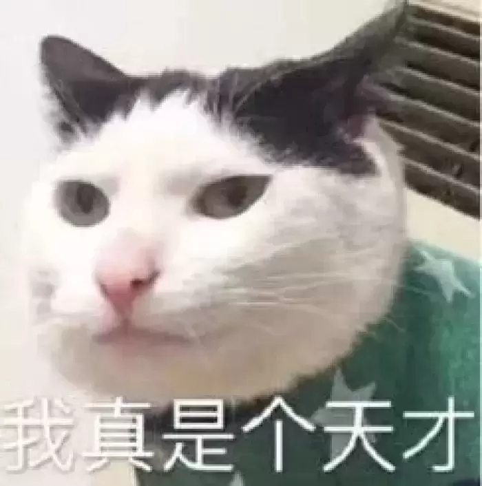 飞机杯和真实环境哪个体验更好？老司机谈谈飞机杯和实战之间的差距