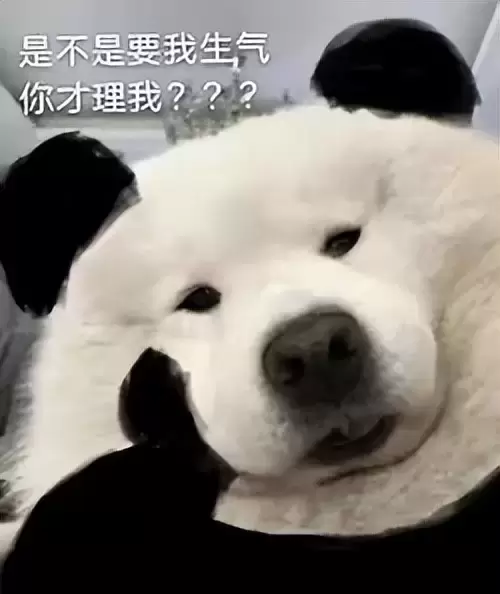 使用飞机杯需要注意哪些问题（科普飞机杯的一些常见的用法）