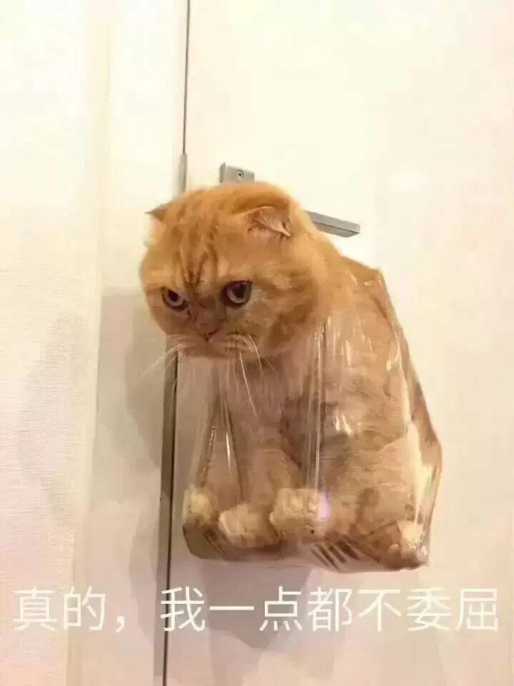 还在用手解决欲望吗不考虑飞机杯？听我的你真的该试试使用飞机杯锻炼