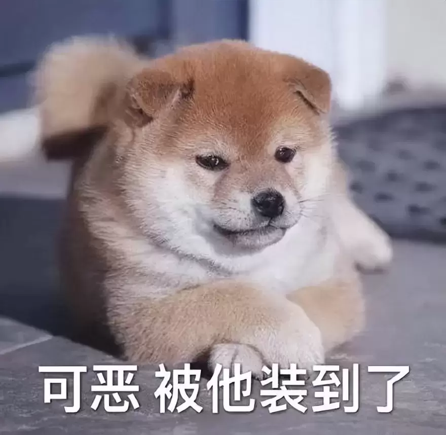 你为什么不试试飞机杯呢（教你挑选自己适合的飞机杯）