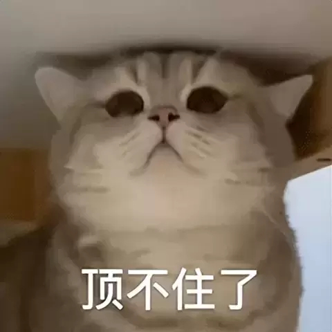 你真的不挑选一个适合自己的飞机杯吗？从物理角度上来讲飞机杯比真人更刺激