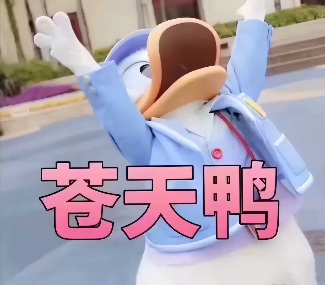 被女朋友送飞机杯是什么体验（以后就用女友送的飞机杯锻炼延时了）