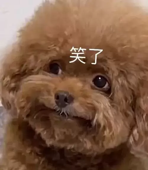 飞机杯比真人更舒服你相信吗(只要给飞机杯加上足够的条件)